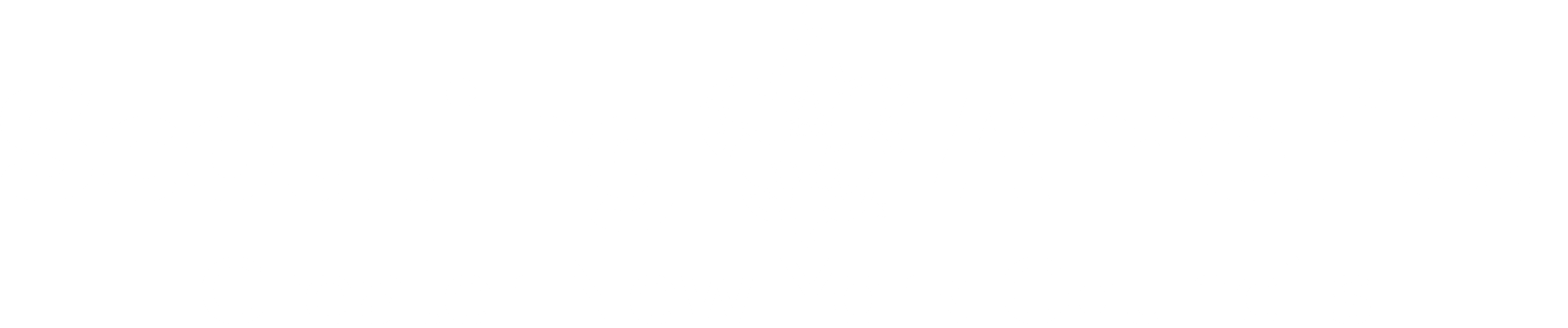 Greater New York Councils, Scouting America